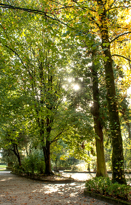 Jardín Botánico y la Carballeira